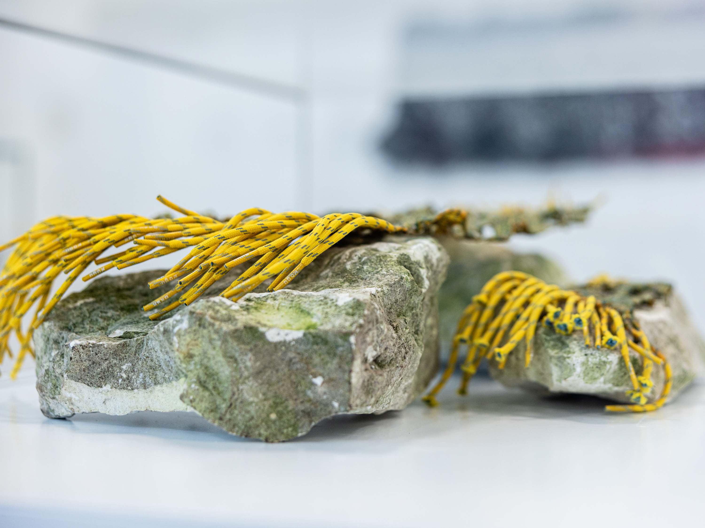 Pieces of stones with yellow shoelaces on top of them