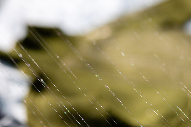 Very fine wire across a green background