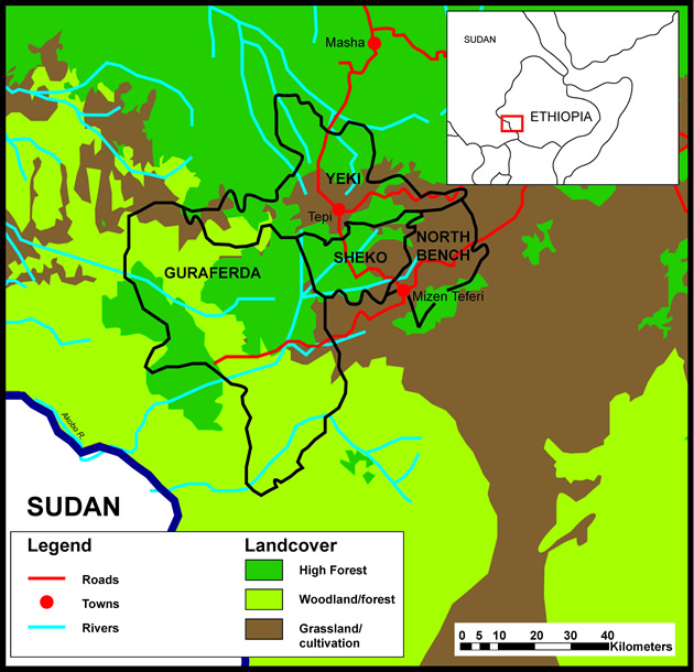 Researchers at Huddersfield Business School analyse the major challenges facing communities around the world related to unsustainable practice and destruction of resources