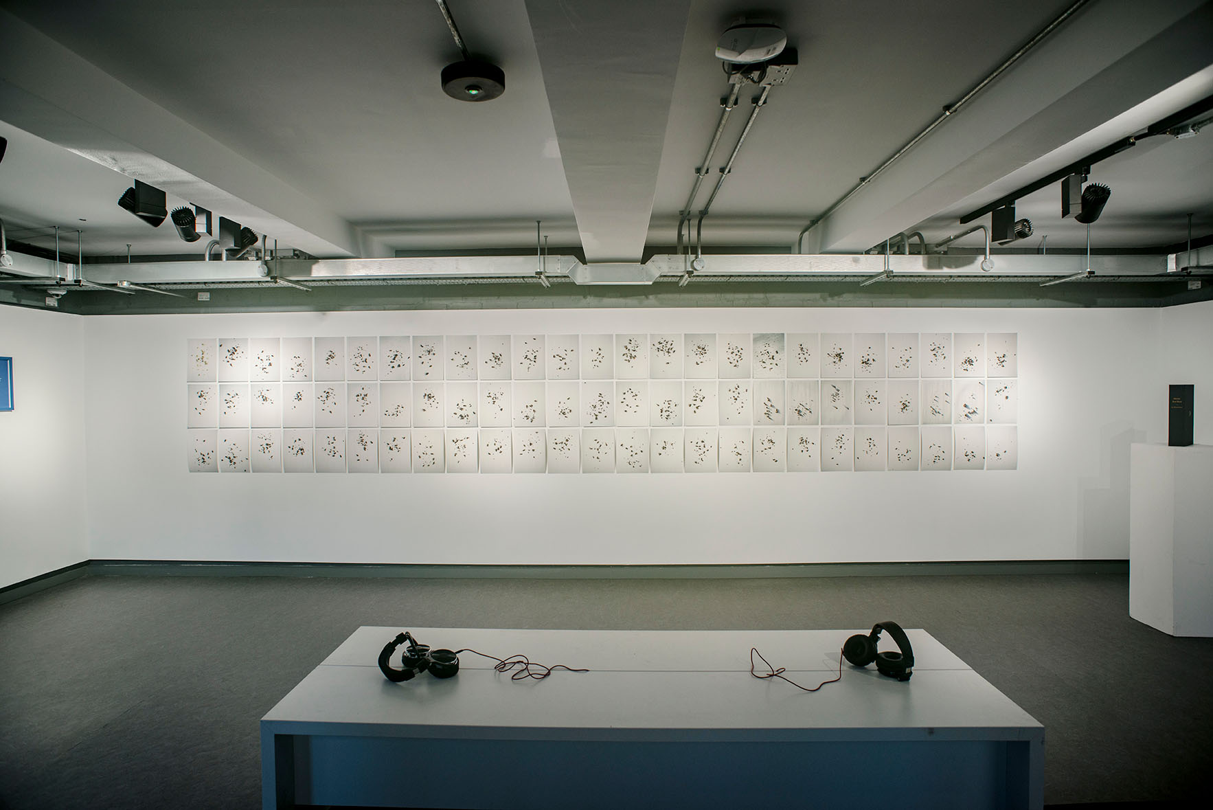 An image of Yan Wang Preston's exhibition.